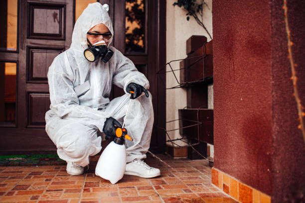 Reliable Wasp Removal contractor in Clifton, TN by Show Me Pest Control